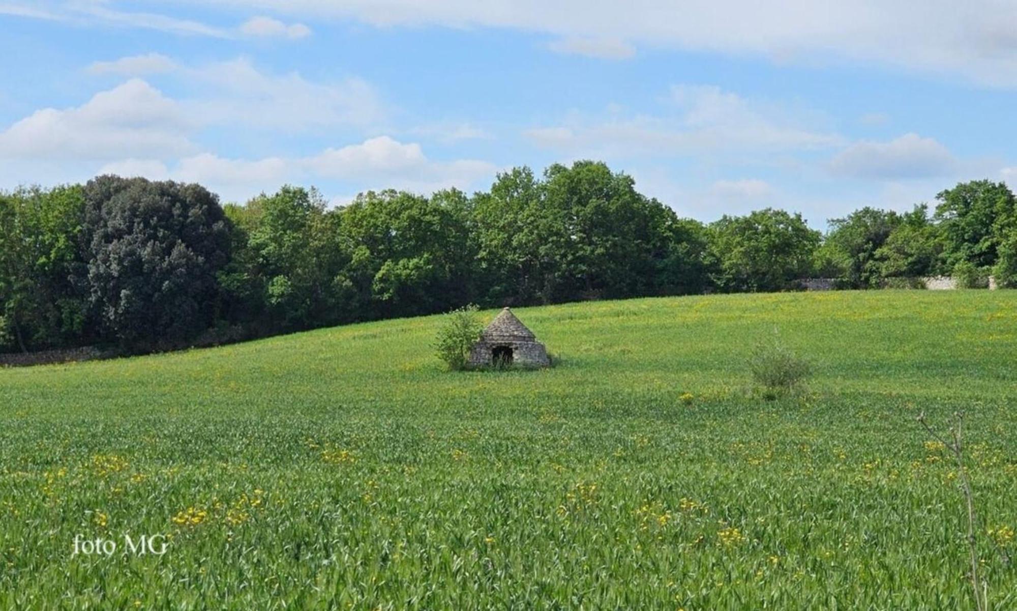 Bed and Breakfast Harry'S House Fasano Zewnętrze zdjęcie